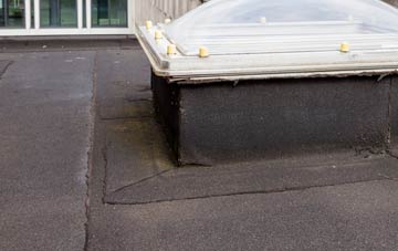disadvantages of Whiteleas flat roofs