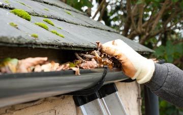 gutter cleaning Whiteleas, Tyne And Wear