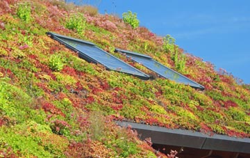 Whiteleas living roof systems