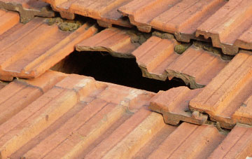 roof repair Whiteleas, Tyne And Wear