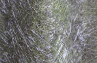 Whiteleas fibreglass roof work